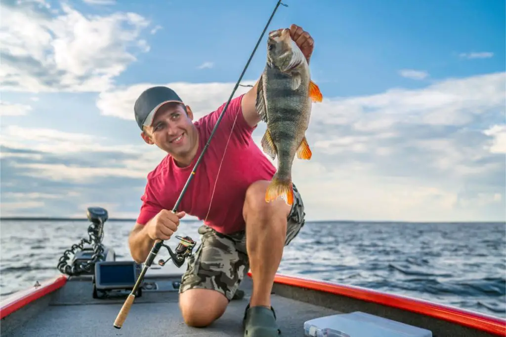 Happy fisherman with big perch fish trophy at boat